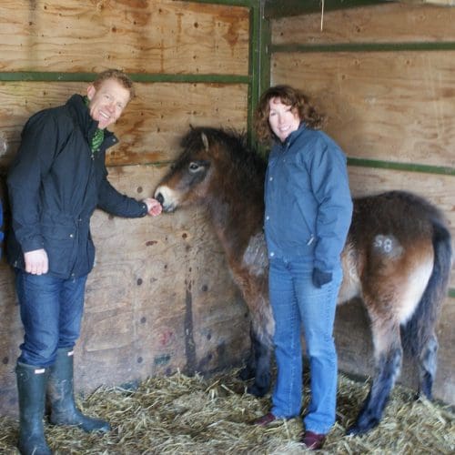 Handling the Untouched Horse - Intermediate Course 19th-20th November 2022