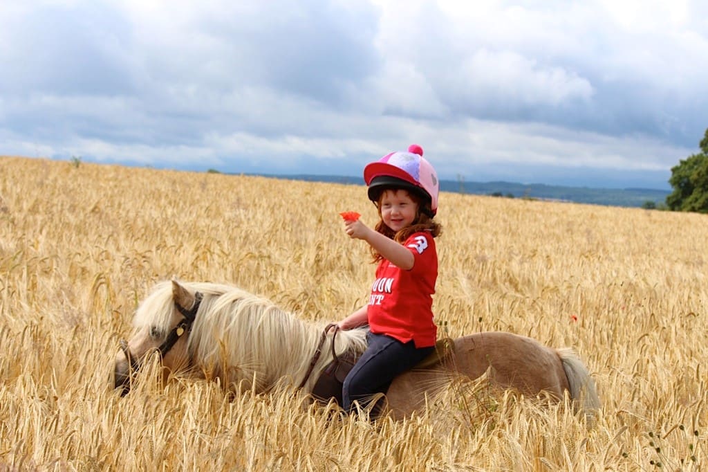 horse and small girl in hay field