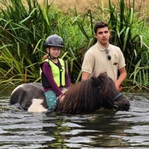 horse training in water with a girl and a man