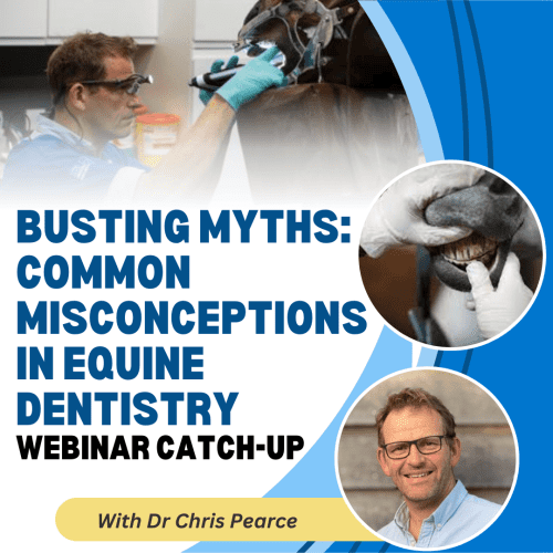 Busting Myths: Common Misconceptions in Equine Dentistry with Dr Chris Pearce