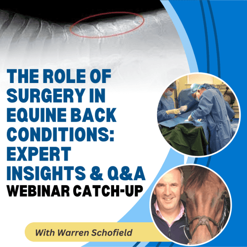 The Role of Surgery in Equine Back Conditions: Expert Insights & Q&A - with Warren Schofield