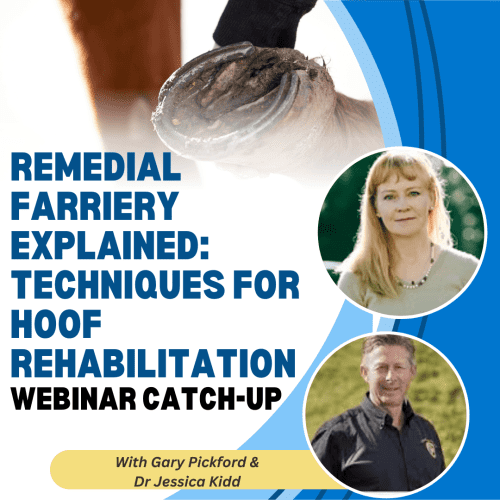 Remedial Farriery Explained: Techniques for Hoof Rehabilitation with Gary Pickford and Dr Jessica Kidd