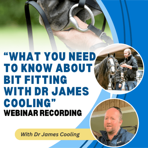 What You Need To Know About Bit Fitting with Dr James Cooling