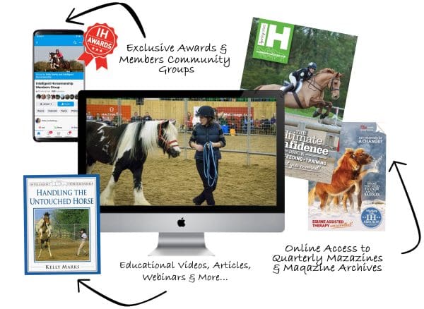 Intelligent Horsemanship Equine Membership Package for Aspiring Horse Whisperers