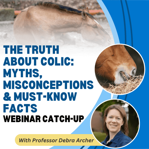 The Truth About Colic: Myths, Misconceptions & Must-Know Facts with Professor Debra Archer