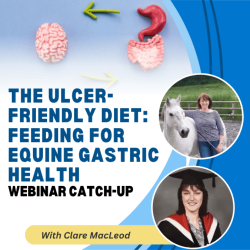 The Ulcer-Friendly Diet: Feeding for Equine Gastric Health with Independent Nutritionist Clare MacLeod