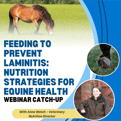 Feeding to Prevent Laminitis: Nutrition Strategies for Equine Health with Anna Welch