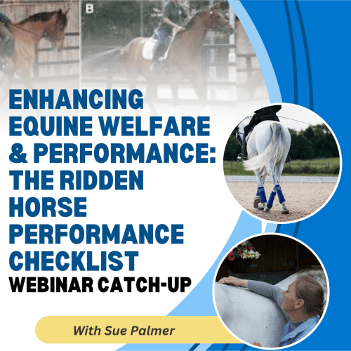 Enhancing Equine Welfare & Performance: The Ridden Horse Performance Checklist with Sue Palmer