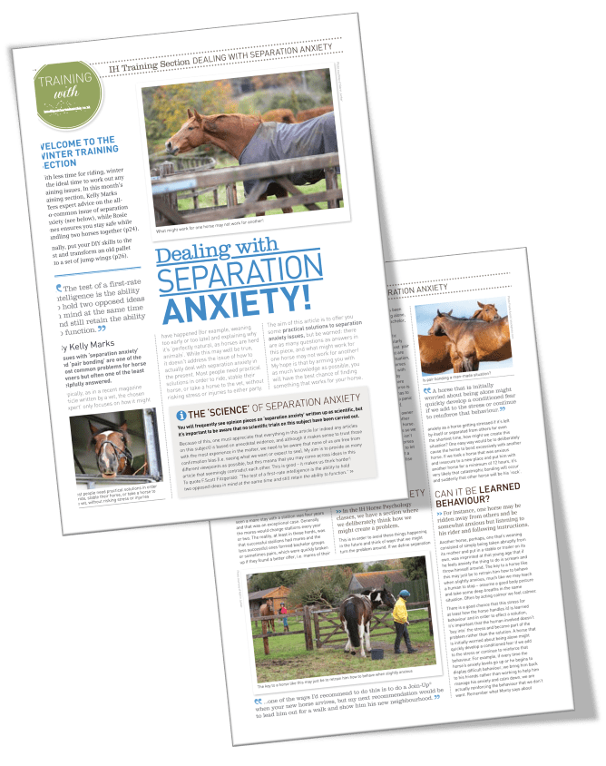 Article on Separation Anxiety in Horses and 5 Steps to Overcome it in IH Magazine 