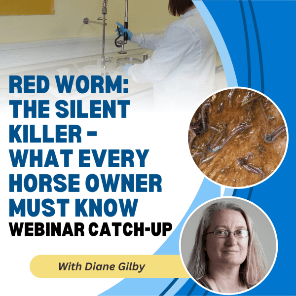 Red Worm: The Silent Killer – What Every Horse Owner Must Know with Intelligent Worming