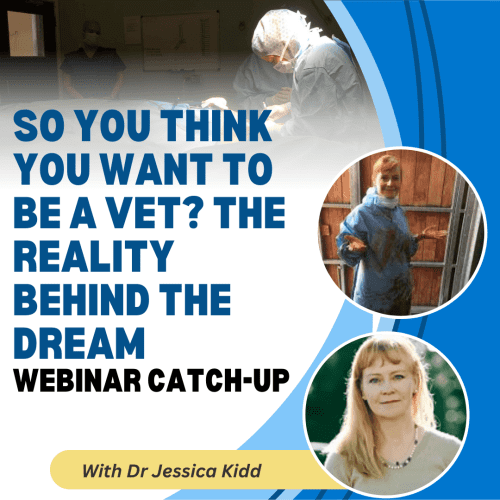 So You Think You Want to Be a Vet? The Reality Behind the Dream with Dr Jessica Kidd
