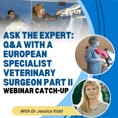 Ask the Expert: Q&A With A European Specialist Veterinary Surgeon Part II