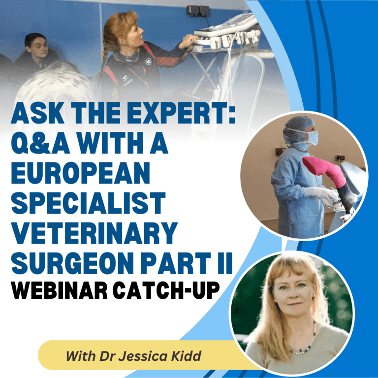 Ask the Expert: Q&A With A European Specialist Veterinary Surgeon Part II