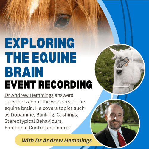 Exploring the Equine Brain: Science, Behaviour & Training with Dr Andrew Hemmings