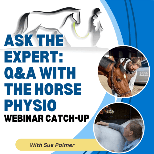 Ask the Expert: Q&A with The Horse Physio
