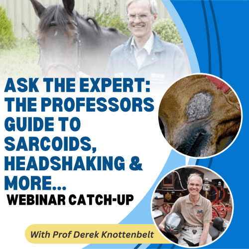 Ask the Expert: The Professors Guide to Sarcoids, Headshaking & More... with Prof Derek Knottenbelt