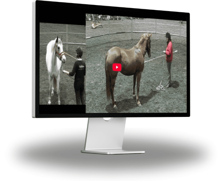 Horsemanship Essentials – Clipping