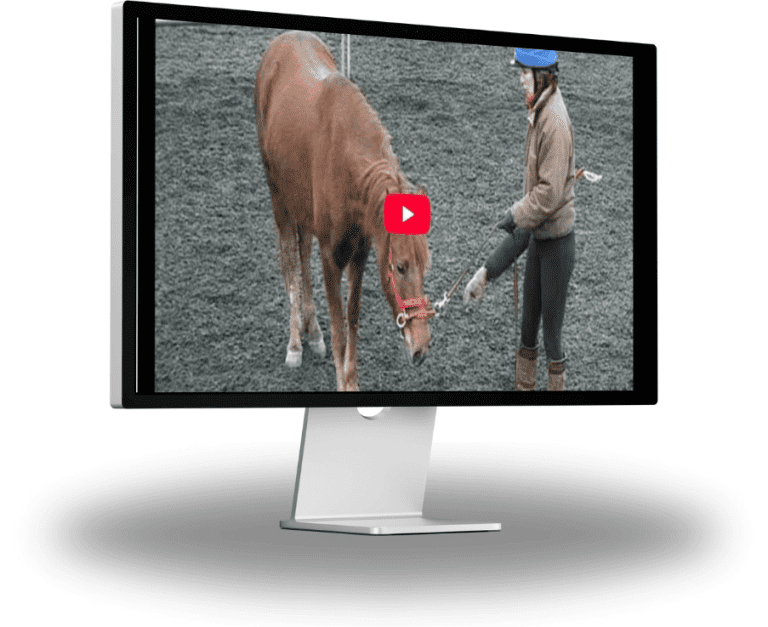 Horsemanship Essentials – Control Of Emotions