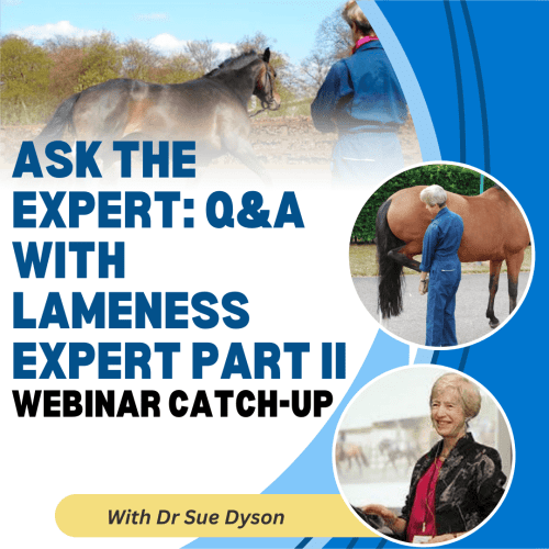 Ask the Expert: Q&A with Lameness Expert Part II with Dr Sue Dyson
