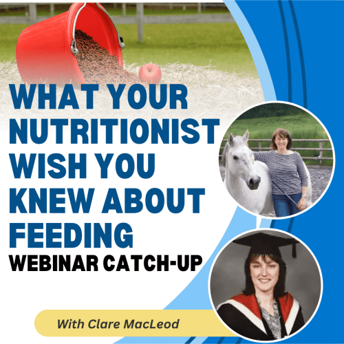 What Your Nutritionist Wish You Knew About Feeding with Independent Nutritionist Clare MacLeod