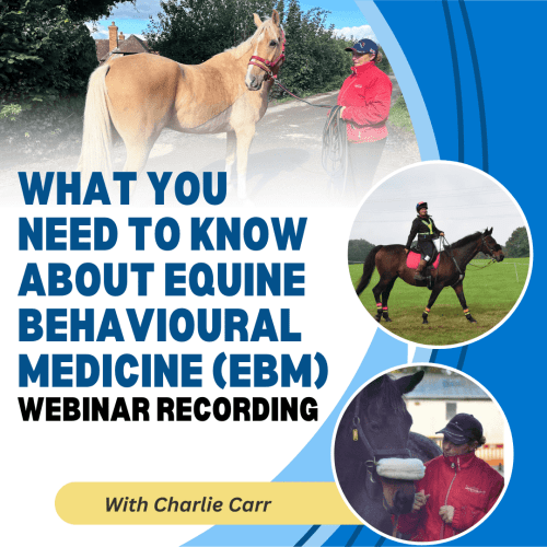 The 10 Things Every Horse Owner Should Know About Equine Behavioural Medicine with Charlie Carr