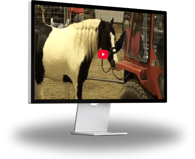 Horsemanship Essentials – Fear Of Tractors