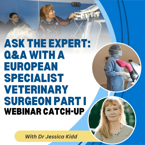 Ask the Expert: Q&A With A European Specialist Veterinary Surgeon Part I