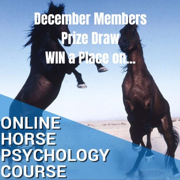 DECEMBER Free Prize Draw - Win A Place On Online Horse Psychology Course