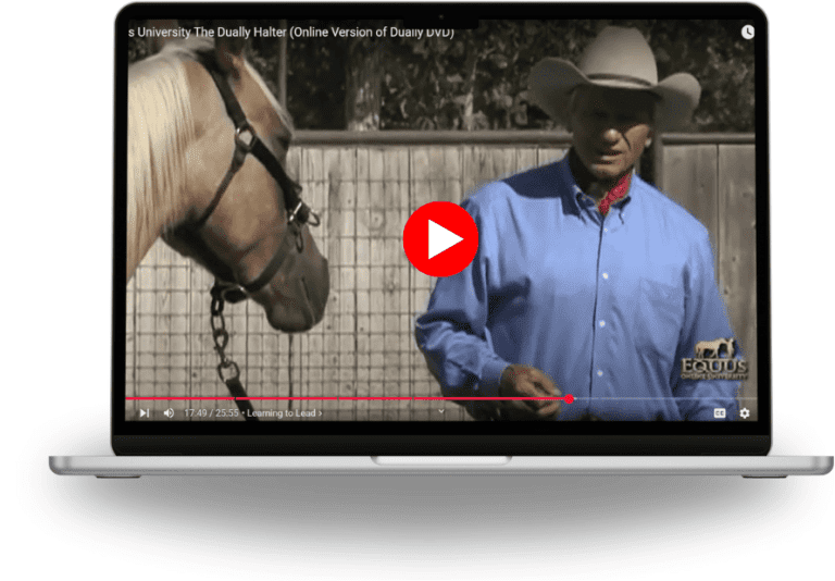 Equus University The Dually Halter (Online Version of Dually DVD)
