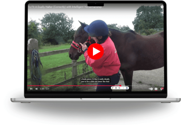 How To Fit A Dually Halter (Correctly) with Intelligent Horsemanship ...