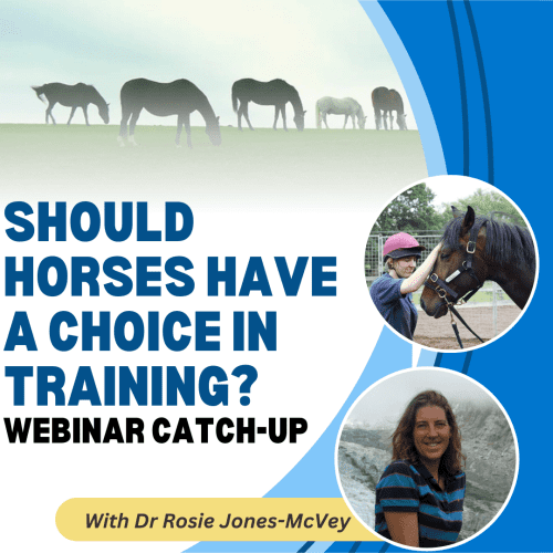 Should Horses Have a Choice in Training? with Dr. Rosie Jones McVey