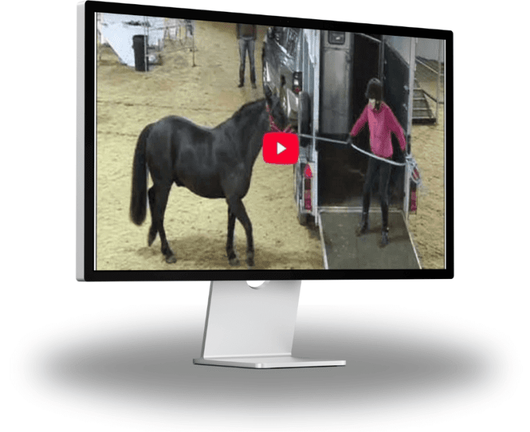 Horsemanship Essentials – Loading