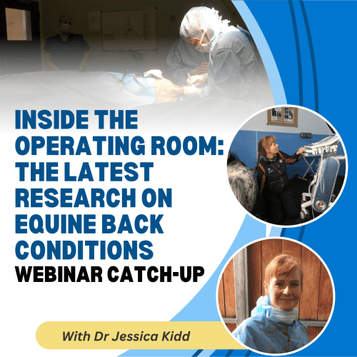 Inside the Operating Room: The Latest Research on Equine Back Conditions with Dr Jessica Kidd