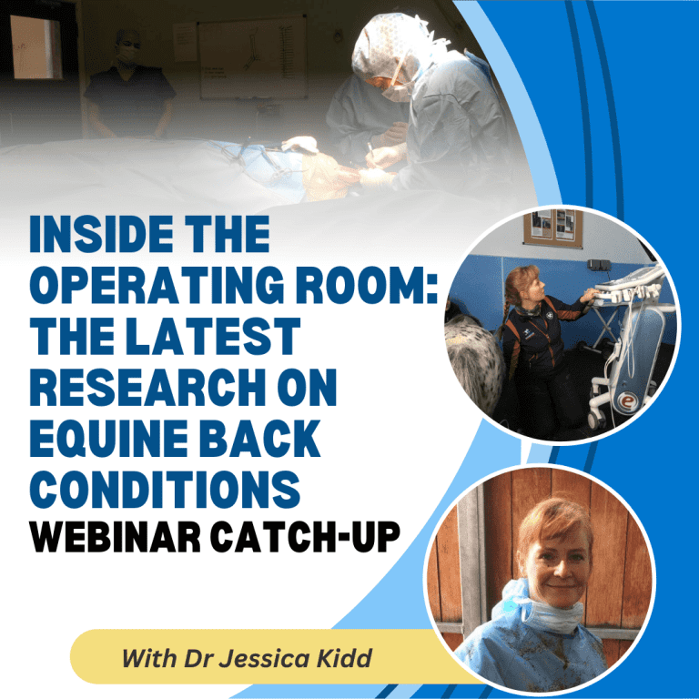 Inside the Operating Room: The Latest Research on Equine Back Conditions with Dr Jessica Kidd