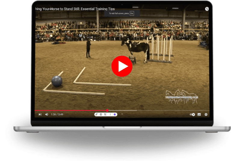 Teaching Your Horse to Stand Still: Essential Training Tips