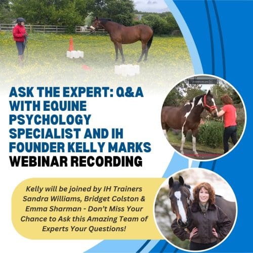 Ask the Expert: Q&A with Kelly Marks