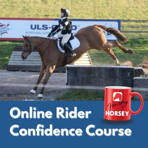 Online Rider Confidence Course (Mon Evenings, 8 Weeks)