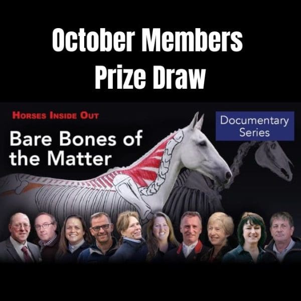 OCTOBER Free Prize Draw - WIN Access to Bares Bones of the Matter DocuSeries