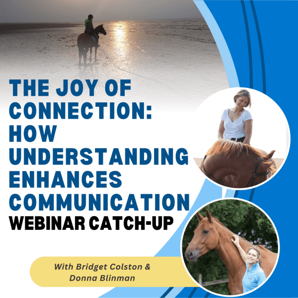 The Joy of Connection: How Understanding Enhances Communication with IH Trainer Bridget Colston & Veterinary Surgeon Donna Blinman
