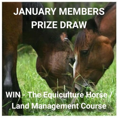 JANUARY Free Prize Draw - Win a place on The Equiculture Horse/Land Management Course