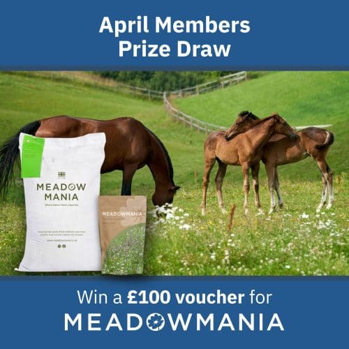 APRIL Free Prize Draw - Win a £100 eGift Card