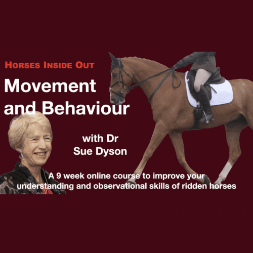 Movement and Behaviour - A 9-week Online Course with Dr Sue Dyson (Horses Inside Out)