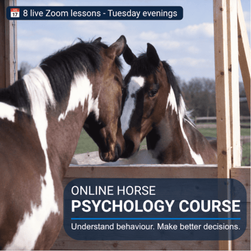 Online Horse Psychology Course