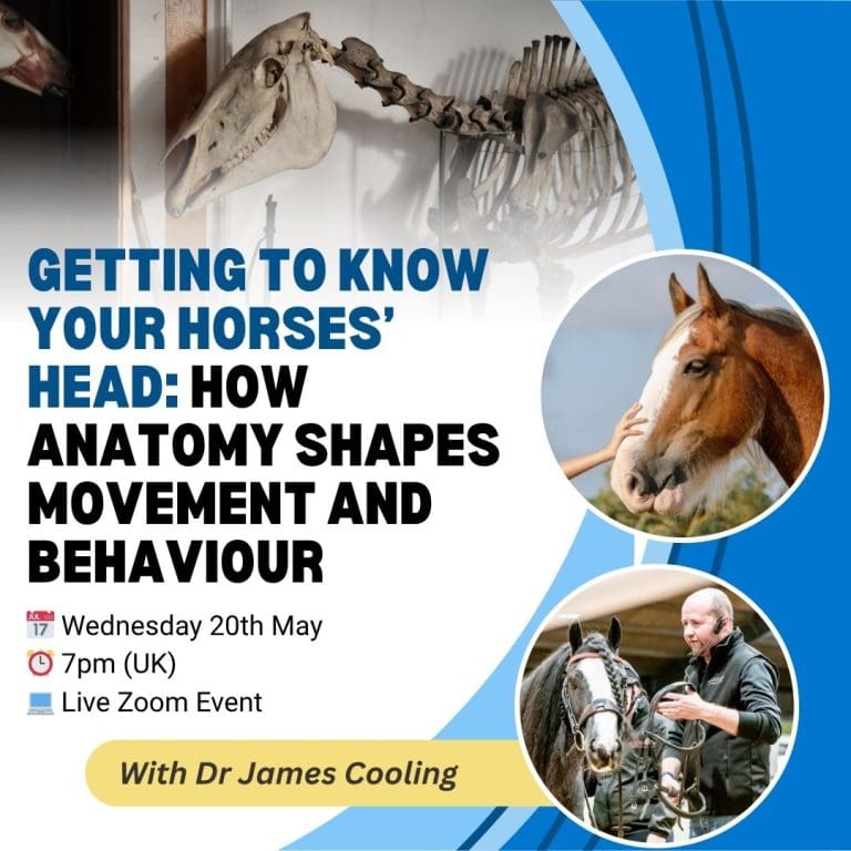Getting to Know Your Horses Head: How Anatomy Shapes Movement and Behaviour with Dr James Cooling