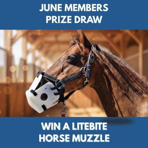 JUNE Free Prize Draw - Win a LiteBite Horse Muzzle