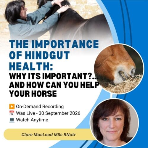 The Importance of Hindgut Health with Clare MacLeod MSc RNutr