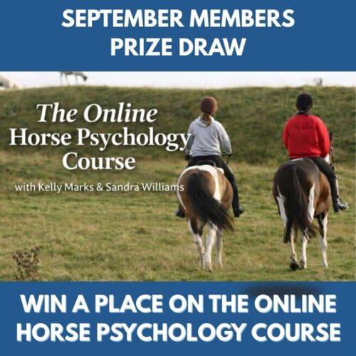 SEPTEMBER Free Prize Draw - Win a place on the Online Horse Psychology Course
